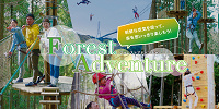 フォレストアドベンチャー| キャステル | CASTEL ディズニー情報