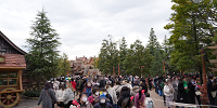 1月ディズニーランド混雑レポ：美女と野獣エリアの様子(13:00頃)| キャステル | CASTEL ディズニー情報