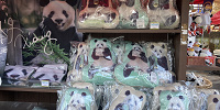 お土産売り場／上野動物園| キャステル | CASTEL ディズニー情報