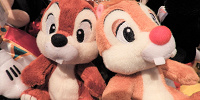 チップ＆デールのぬいぐるみバッジ| キャステル | CASTEL ディズニー情報