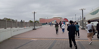 ディズニーランド5月混雑状況レポート：舞浜駅(9:30頃)| キャステル | CASTEL ディズニー情報