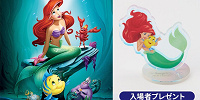 リトルマーメイド| キャステル | CASTEL ディズニー情報