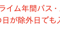 年間パススタンダードの注意書き| キャステル | CASTEL ディズニー情報