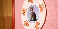 動く猫の肖像画のお皿| キャステル | CASTEL ディズニー情報