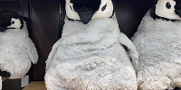 皇帝ペンギンXLぬいぐるみ（アクアパーク品川グッズ）| キャステル | CASTEL ディズニー情報