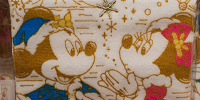 ウォッシュタオル| キャステル | CASTEL ディズニー情報
