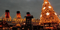 ディズニーシーのクリスマスツリー| キャステル | CASTEL ディズニー情報