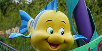 フランダー| キャステル | CASTEL ディズニー情報