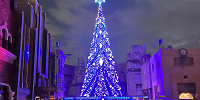 ユニバのクリスマスツリーがなくなる！？2024年が最後で見納め！終了理由&2025年以降はどうなるのか徹底予想！