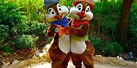 香港ディズニーのグリーティング：グリズリーガルチのチップ＆デール| キャステル | CASTEL ディズニー情報