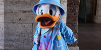 シーでフリグリ中のドナルド| キャステル | CASTEL ディズニー情報