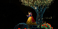 夜の森に囲まれていっそう美しい白雪姫| キャステル | CASTEL ディズニー情報