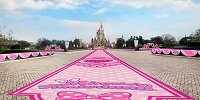 ミニーのファンダーランドのデコレーション| キャステル | CASTEL ディズニー情報