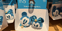 リングセット(ディズニーシー25周年グッズ)| キャステル | CASTEL ディズニー情報