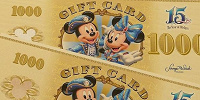 クレジットカードで買えないもの| キャステル | CASTEL ディズニー情報