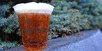 ハリー・ポッターエリアでのみ購入できるバタービール| キャステル | CASTEL ディズニー情報