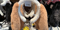 スヌーピーたれ耳カチューシャ（ピンクブラウン）| キャステル | CASTEL ディズニー情報