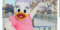 色紙| キャステル | CASTEL ディズニー情報