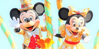 空いている日を狙ってパークに行こう！| キャステル | CASTEL ディズニー情報