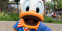 ドナルドの誕生日プログラム「ハッピーバースデー・トゥ・ミー！」| キャステル | CASTEL ディズニー情報
