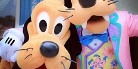 プルート（左）とグーフィー（右）| キャステル | CASTEL ディズニー情報