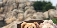ダッフィー＆シェリーメイ| キャステル | CASTEL ディズニー情報