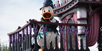 ドナルド| キャステル | CASTEL ディズニー情報