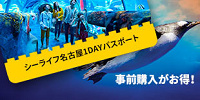 レゴランド水族館のチケット| キャステル | CASTEL ディズニー情報