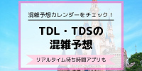 【ディズニー混雑予想】2026年6月、7月、8月のTDL・TDSの混み具合は？リアルタイム待ち時間アプリも