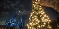 ホグズミード村のクリスマス・ツリー| キャステル | CASTEL ディズニー情報