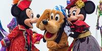 【ディズニー】人気の犬キャラ「プルート」徹底解説！グッズ・誕生日・会える場所はどこ？