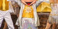 【ディズニーランドのショー】全7つのショー攻略！おすすめ鑑賞場所＆穴場スポット