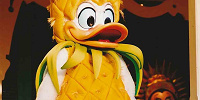 パイナップル姿のドナルドは？！| キャステル | CASTEL ディズニー情報