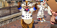 チップ| キャステル | CASTEL ディズニー情報
