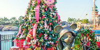 ケープコッドにあるクリスマスツリー| キャステル | CASTEL ディズニー情報
