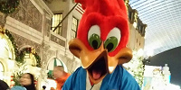 【USJ】ウッディ・ウッドペッカーとは？プロフィール、会える場所、グッズやガールフレンドもご紹介
