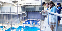 海遊館のガイドツアー| キャステル | CASTEL ディズニー情報