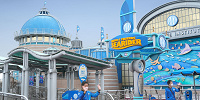 ニモの世界を一緒に泳ごう| キャステル | CASTEL ディズニー情報