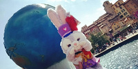 知っておきたいことをまとめます！| キャステル | CASTEL ディズニー情報