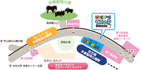 車（駐車場）| キャステル | CASTEL ディズニー情報