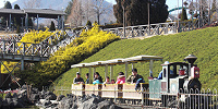 高原列車| キャステル | CASTEL ディズニー情報