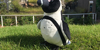 【サンシャイン水族館】オリジナルお土産＆限定グッズ！ペンギンぬいぐるみやお菓子など7選まとめ！