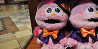 「KOWAKAWA　HALLOWEEN」モッピーぬいぐるみ| キャステル | CASTEL ディズニー情報