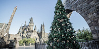 ホグズミード村のクリスマス・ツリー| キャステル | CASTEL ディズニー情報