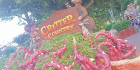 クリッターカントリー入口| キャステル | CASTEL ディズニー情報