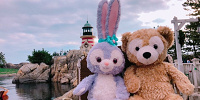 ディズニーシーの楽しみ方| キャステル | CASTEL ディズニー情報
