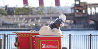 レミーも料理を手伝います| キャステル | CASTEL ディズニー情報
