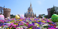 ミッキーカステラケーキの上手な撮影方法| キャステル | CASTEL ディズニー情報