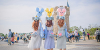 ダンボコーデ| キャステル | CASTEL ディズニー情報