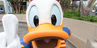 ディズニー株主用パスポートの注意点| キャステル | CASTEL ディズニー情報